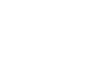 Occidental Hotel and Resorts