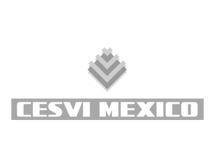 Cliente Cesvi