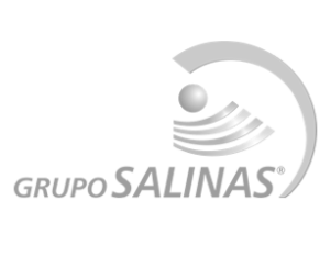Cliente Grupo Salinas