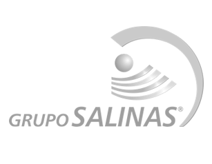 Cliente Grupo Salinas