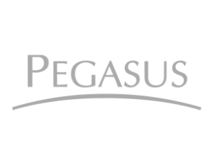 Cliente Pegasus